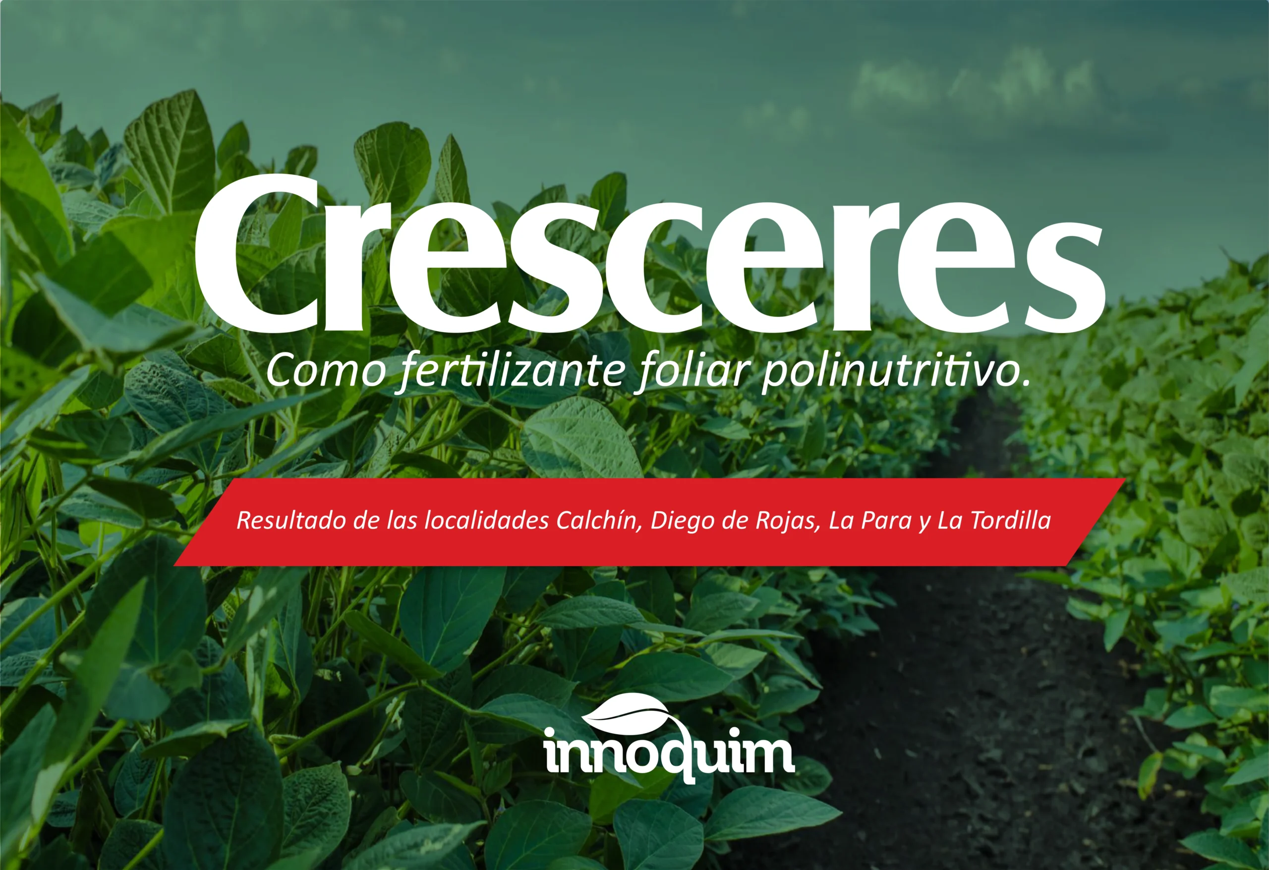 Portada del ensayo CRESCEREs en soja