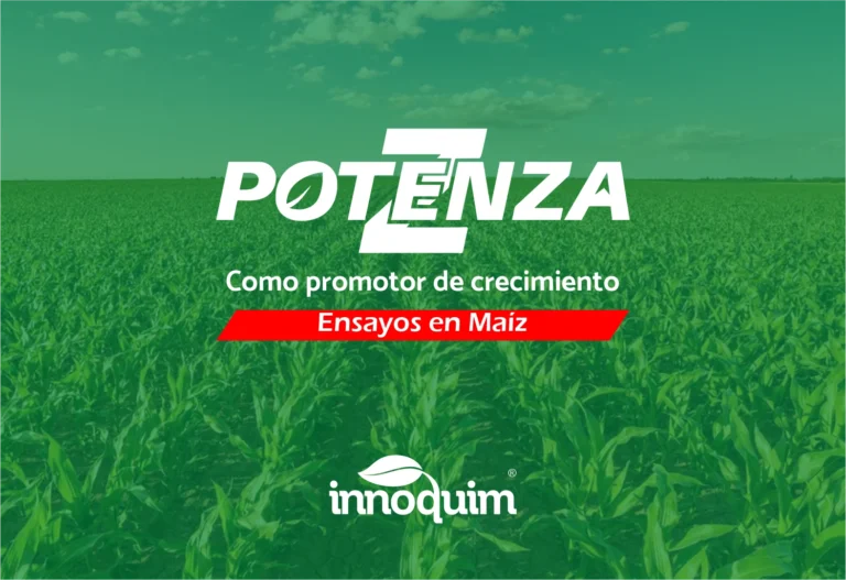 Portada del ensayo POTENZA en maíz