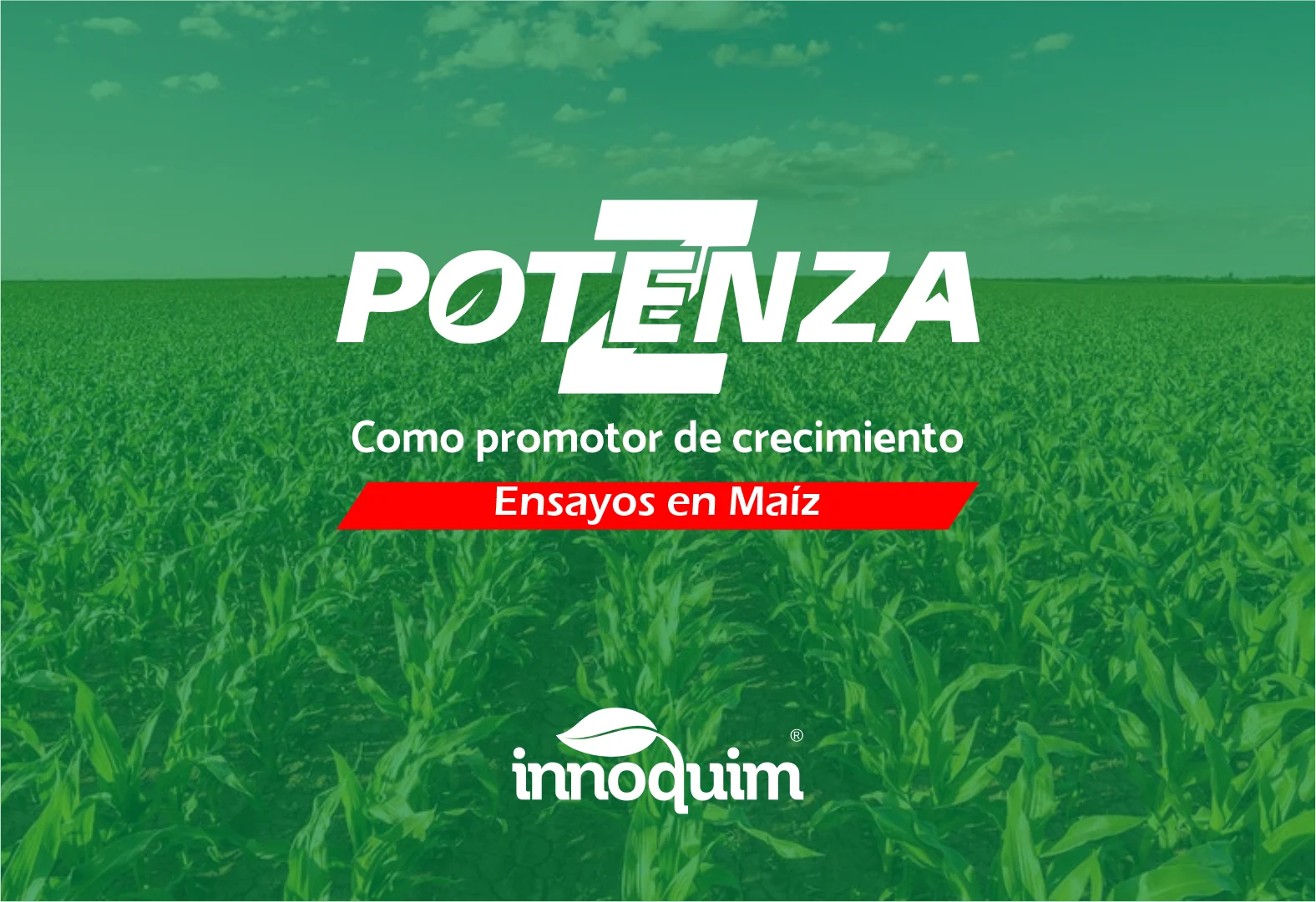 Portada del ensayo POTENZA en maíz