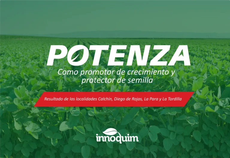 Portada del ensayo POTENZA en soja